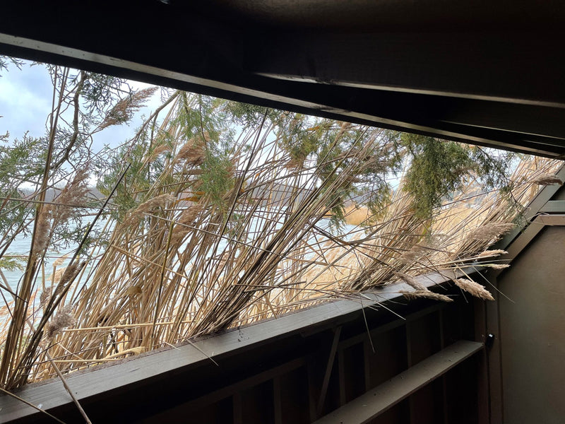 12 Point Hunting Blinds - 5X10 The Quack Shack: Duck Hunting Blind