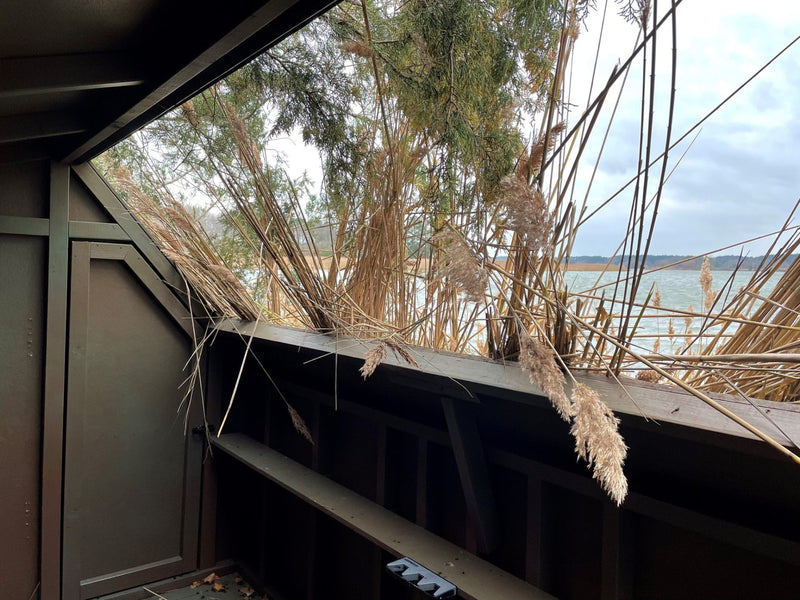 12 Point Hunting Blinds - 5X10 The Quack Shack: Duck Hunting Blind