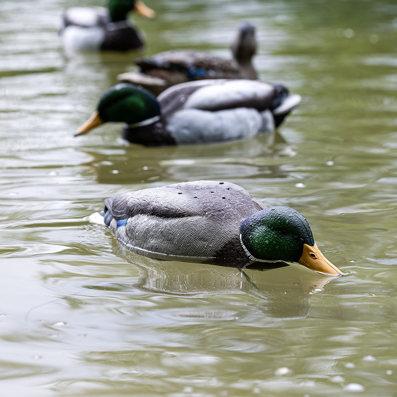 Avian-X - Tip Up Mallard Feeder