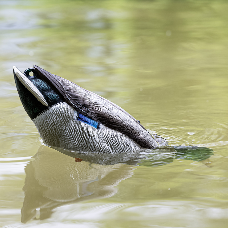 Avian-X - Tip Up Mallard Feeder