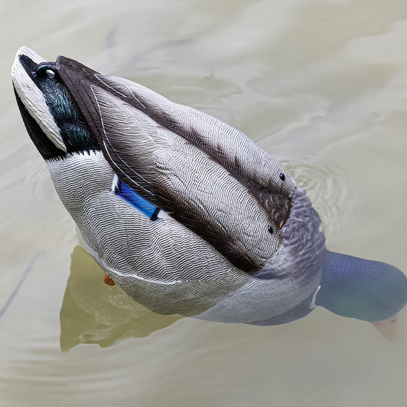 Avian-X - Tip Up Mallard Feeder