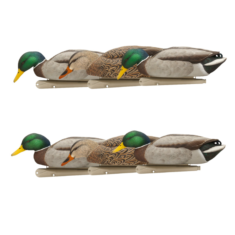 Avian-X - Topflight Mallards Backwater Pack 6 Floating Decoys