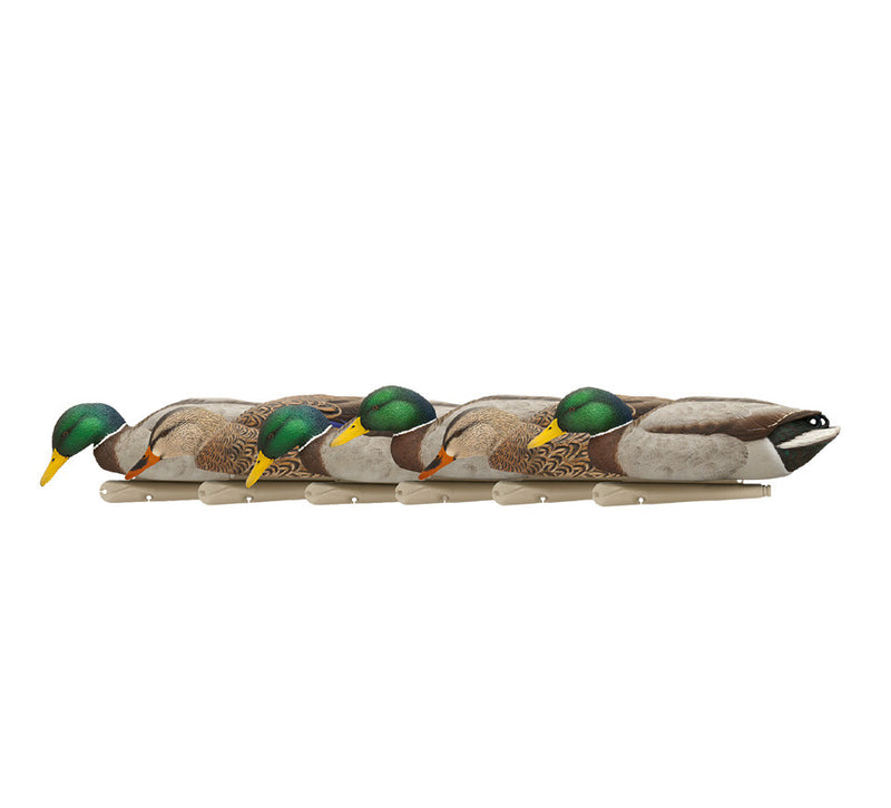 Avian-X - Topflight Mallards Backwater Pack 6 Floating Decoys