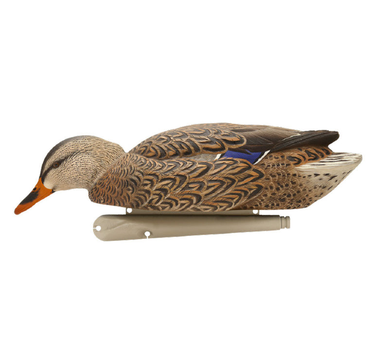 Avian-X - Topflight Mallards Backwater Pack 6 Floating Decoys