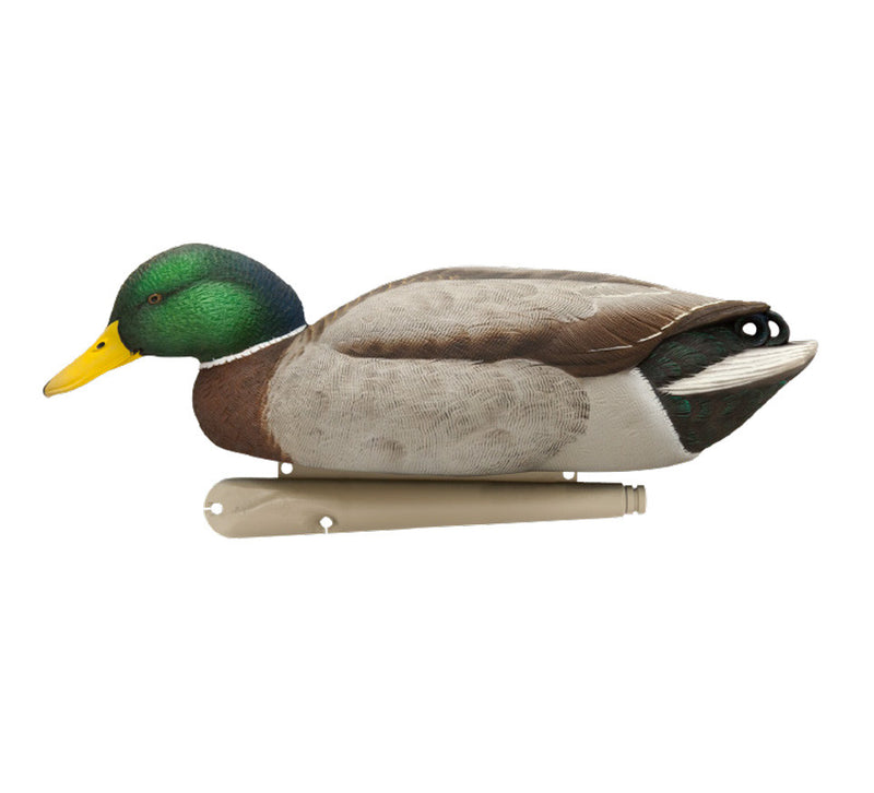 Avian-X - Topflight Mallards Backwater Pack 6 Floating Decoys