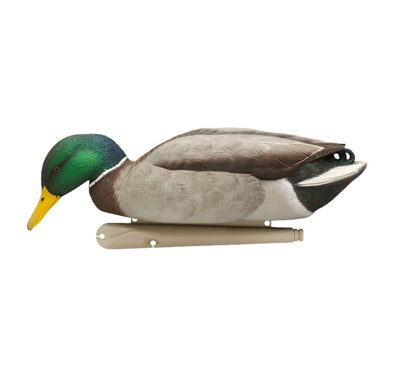 Avian-X - Topflight Mallards Backwater Pack 6 Floating Decoys