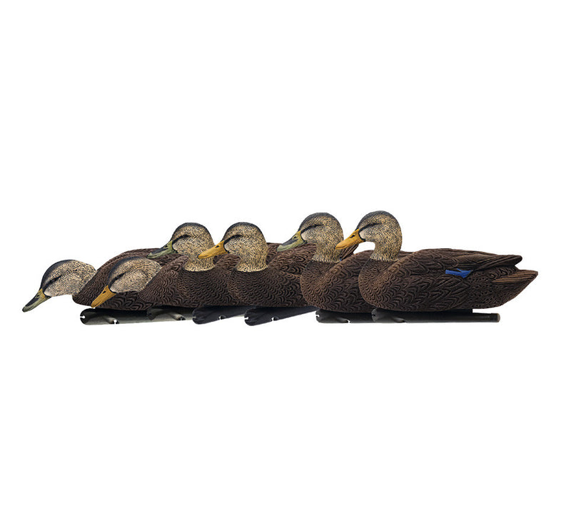 Avian-X - Topflight Black Ducks - 6 Floating Duck Decoys