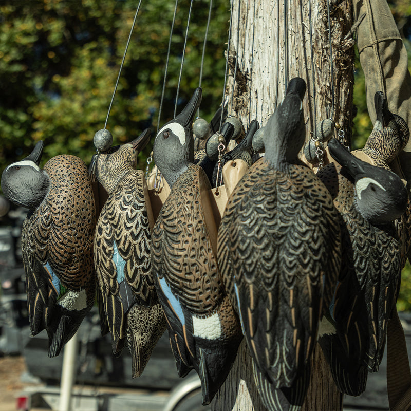 Avian-X - Topflight Blue-Winged Teal 6 Floating Decoys