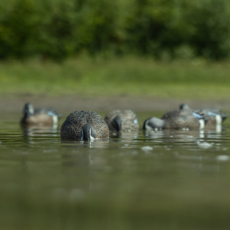 Avian-X - Topflight Blue-Winged Teal 6 Floating Decoys