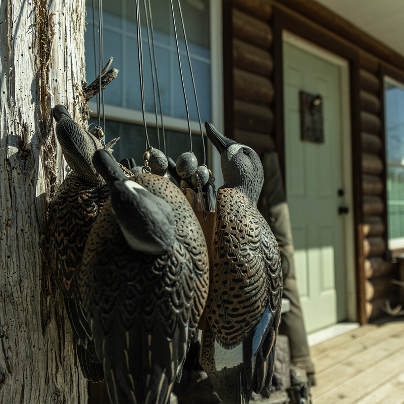 Avian-X - Topflight Blue-Winged Teal 6 Floating Decoys