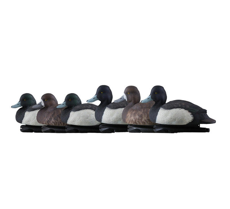 Avian-X - Topflight Bluebills - 6 Floating Duck Decoys