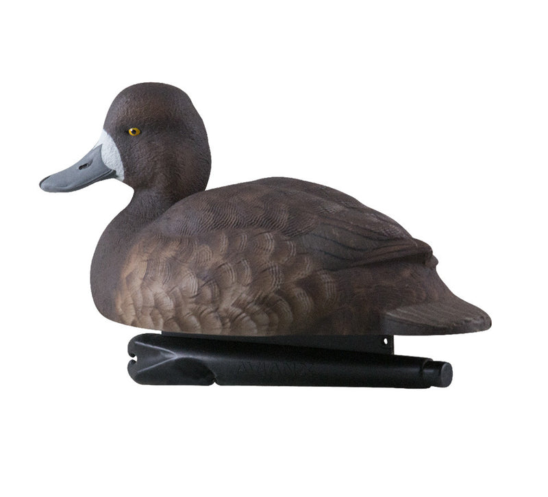 Avian-X - Topflight Bluebills - 6 Floating Duck Decoys