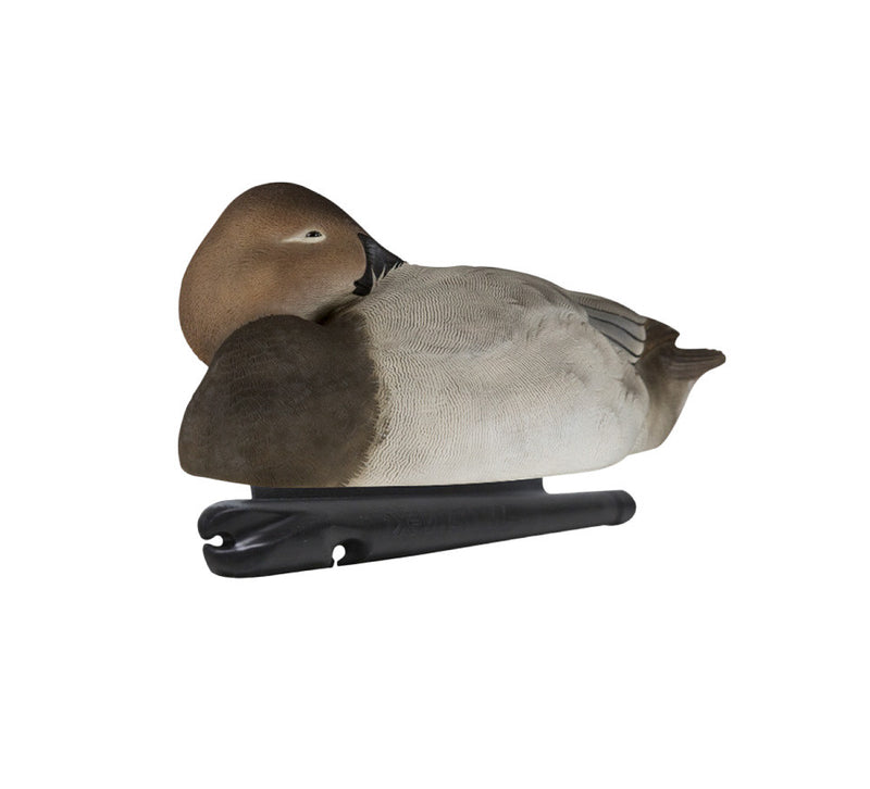 Avian-X - Topflight Canvasback - 6 Floating Duck Decoys