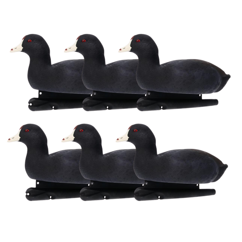 Avian-X - Topflight Coot - 6 Floating Duck Decoys