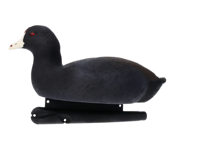 Avian-X - Topflight Coot - 6 Floating Duck Decoys