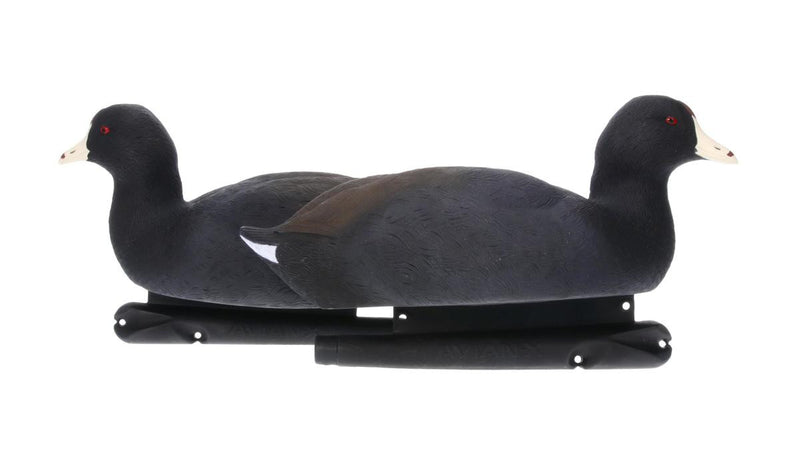Avian-X - Topflight Coot - 6 Floating Duck Decoys