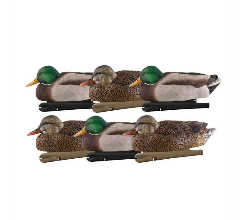 Avian-X - Topflight Mallards Early Season Pack 6 Floating Decoys