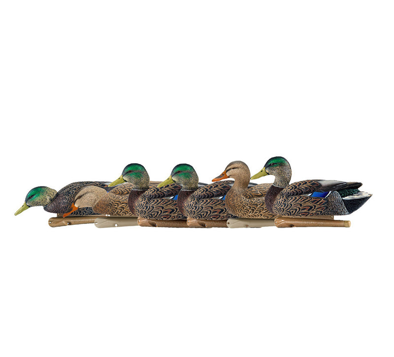 Avian-X - Topflight Mallards Early Season Pack 6 Floating Decoys