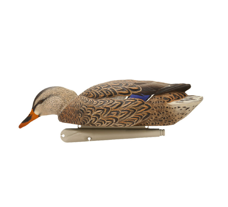 Avian-X - Topflight Mallards Early Season Pack 6 Floating Decoys