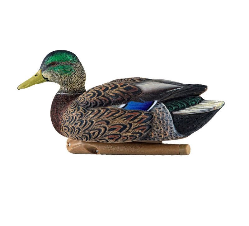 Avian-X - Topflight Mallards Early Season Pack 6 Floating Decoys