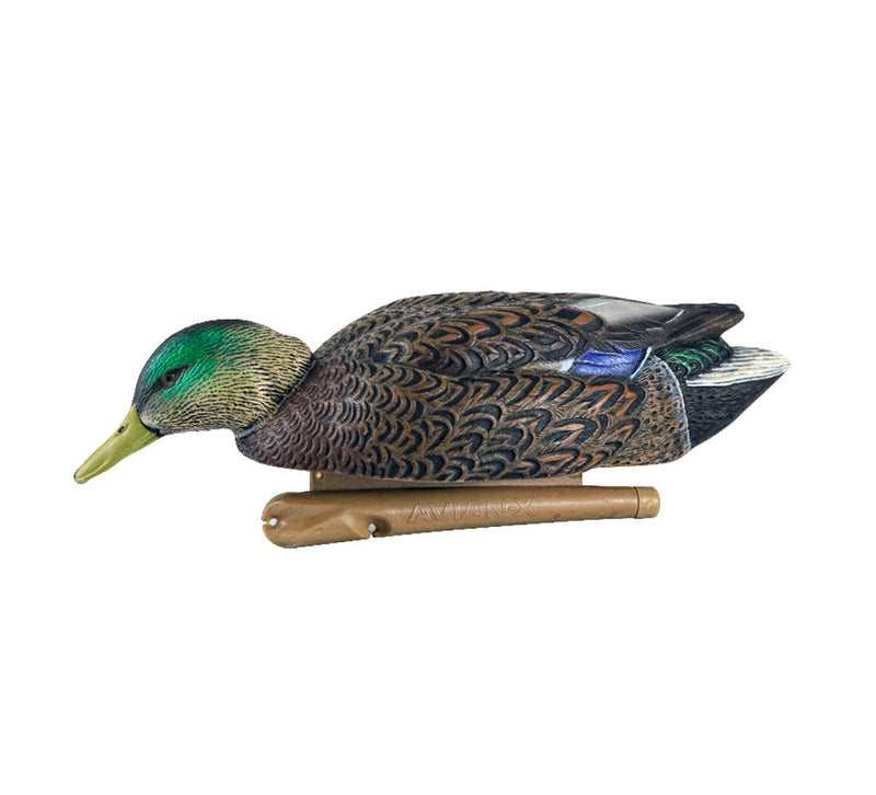 Avian-X - Topflight Mallards Early Season Pack 6 Floating Decoys