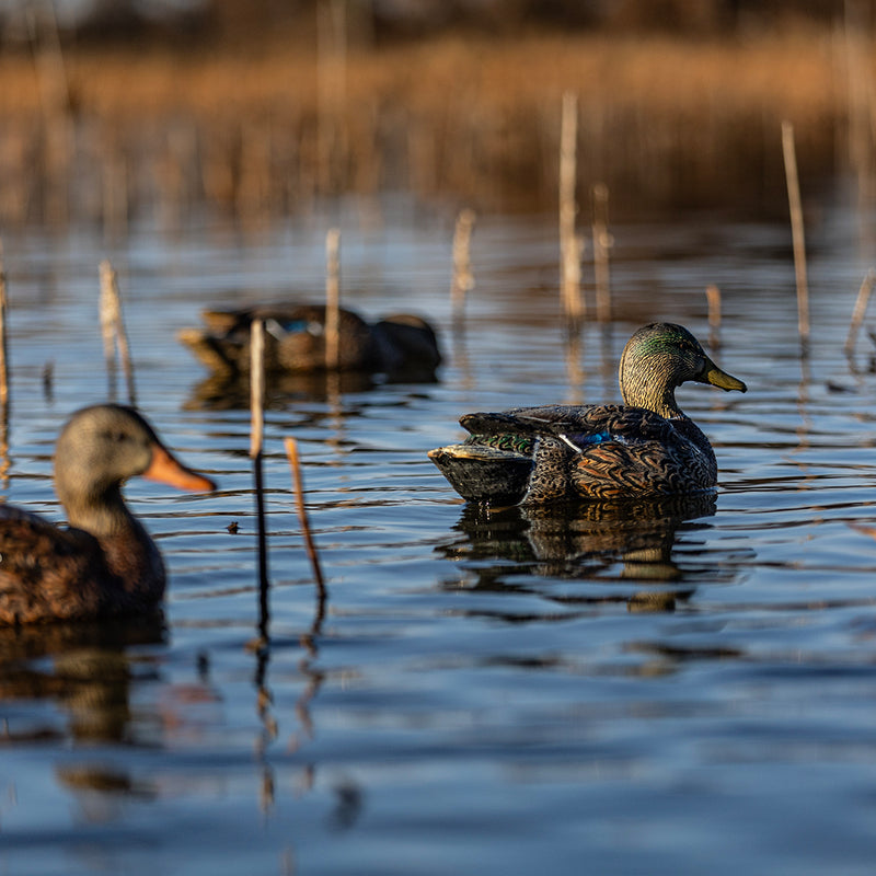 Avian-X - Topflight Mallards Early Season Pack 6 Floating Decoys