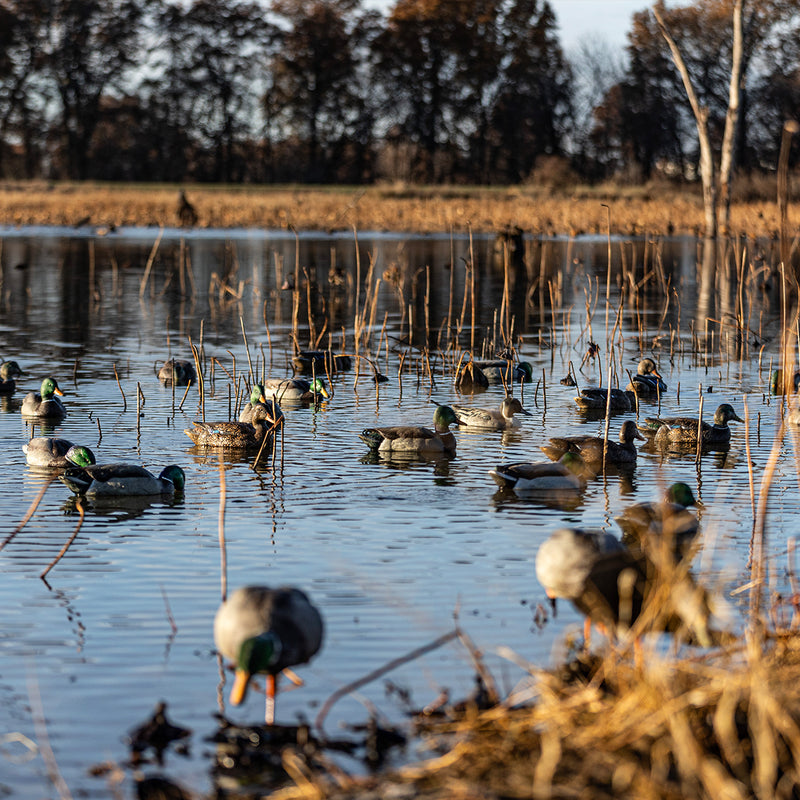 Avian-X - Topflight Mallards Fusion Pack 6 Floating Decoys
