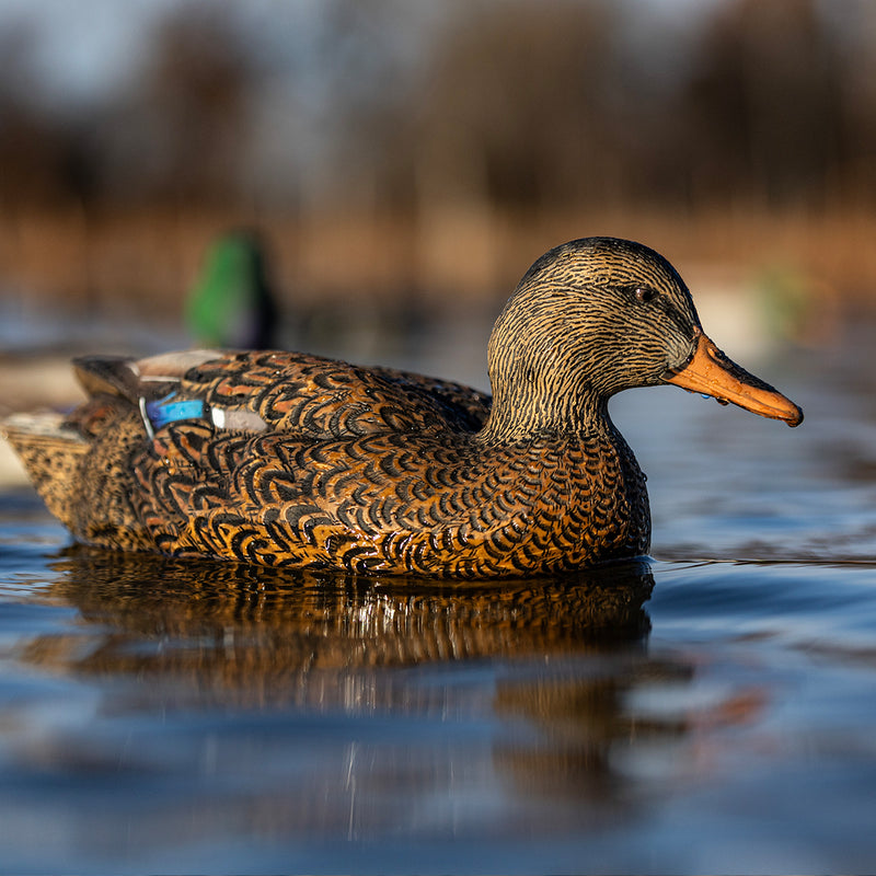 Avian-X - Topflight Mallards Fusion Pack 6 Floating Decoys