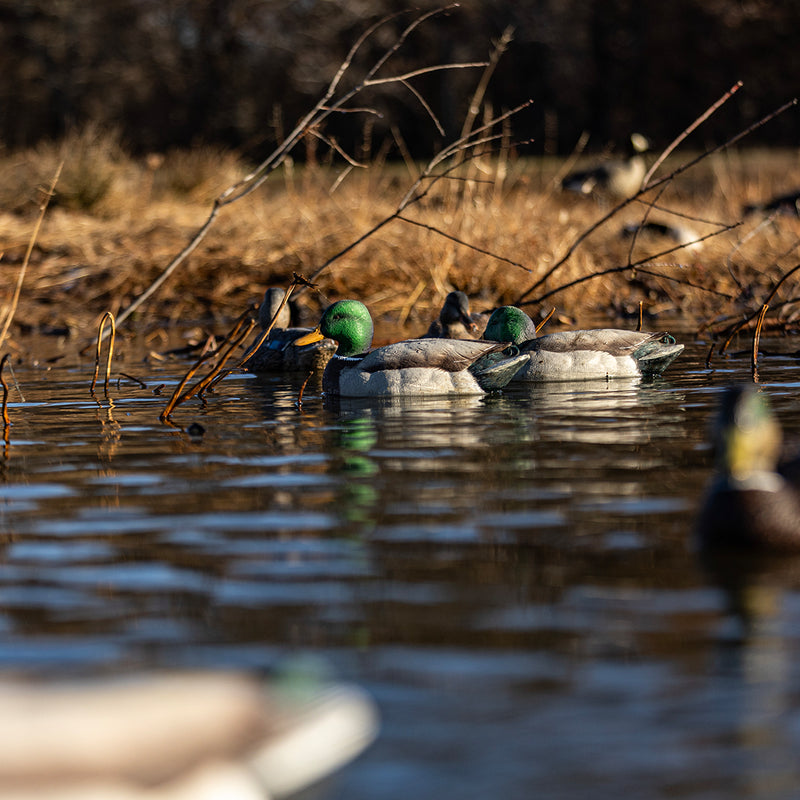 Avian-X - Topflight Mallards Fusion Pack 6 Floating Decoys