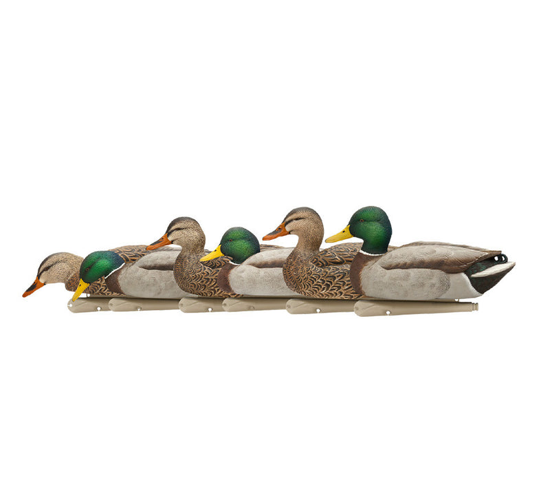 Avian-X - Topflight Mallards Fusion Pack 6 Floating Decoys