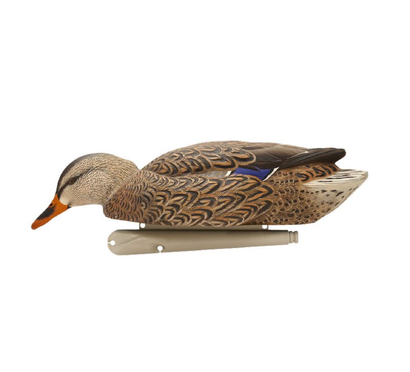 Avian-X - Topflight Mallards Fusion Pack 6 Floating Decoys