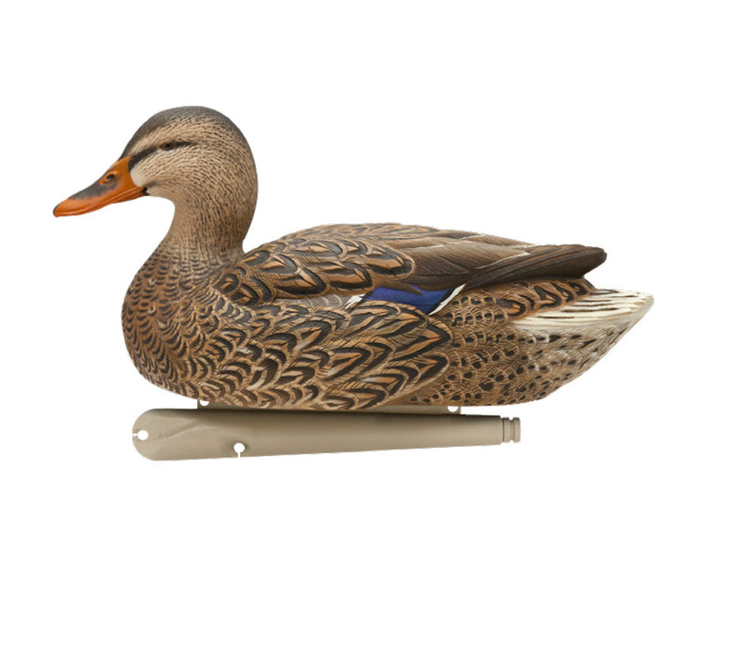 Avian-X - Topflight Mallards Fusion Pack 6 Floating Decoys