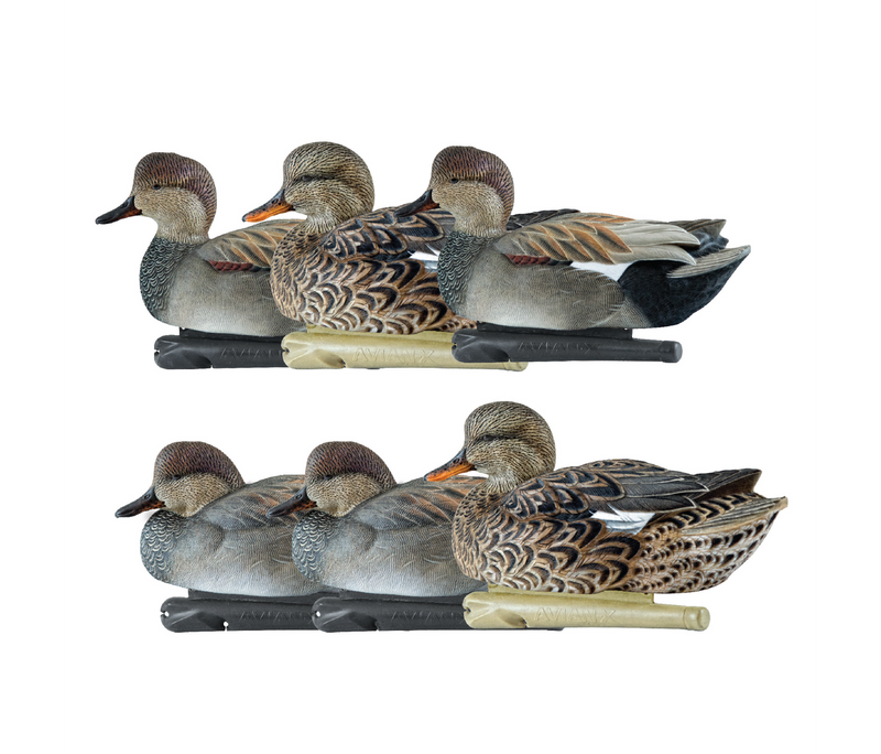 Avian-X - Topflight Gadwall 6 Floating Decoys
