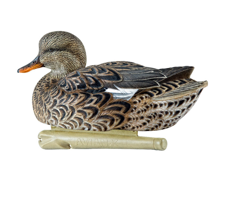 Avian-X - Topflight Gadwall 6 Floating Decoys