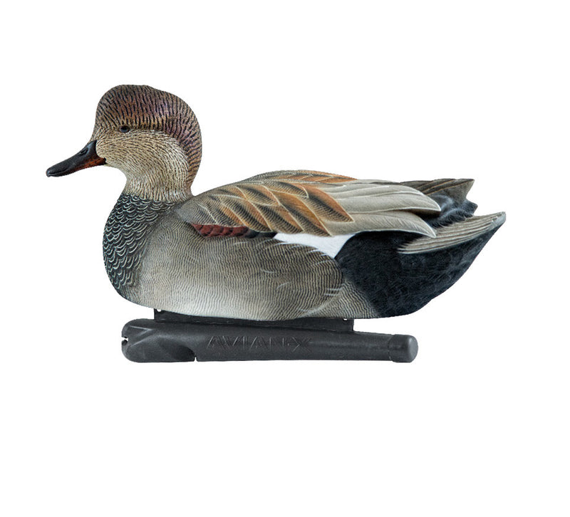 Avian-X - Topflight Gadwall 6 Floating Decoys