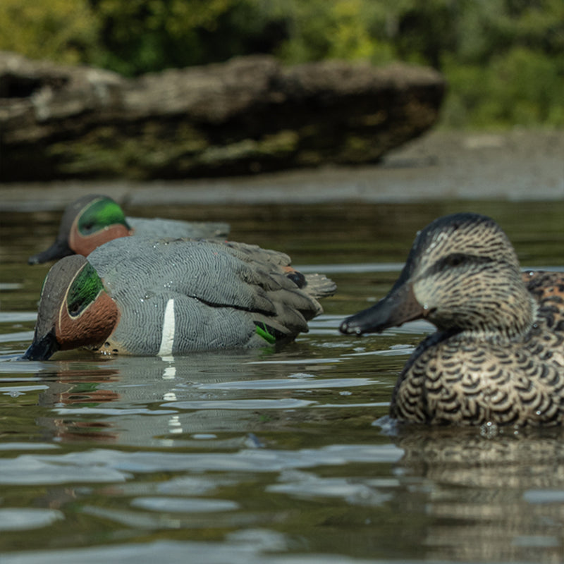 Avian-X - Topflight Green-Winged Teal 6 Floating Decoys