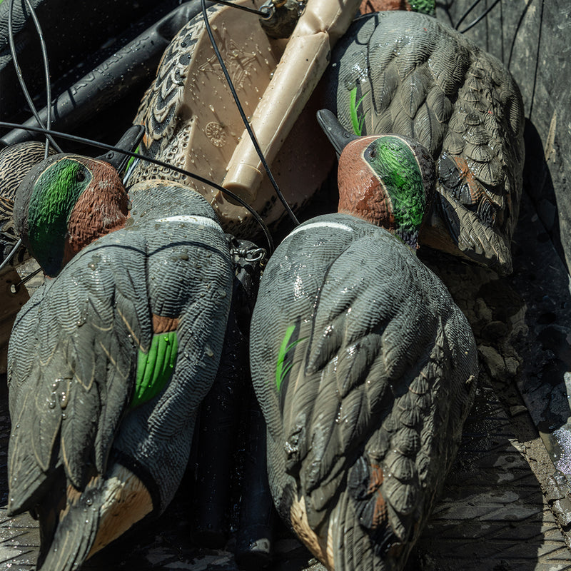 Avian-X - Topflight Green-Winged Teal 6 Floating Decoys