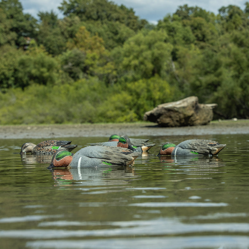 Avian-X - Topflight Green-Winged Teal 6 Floating Decoys