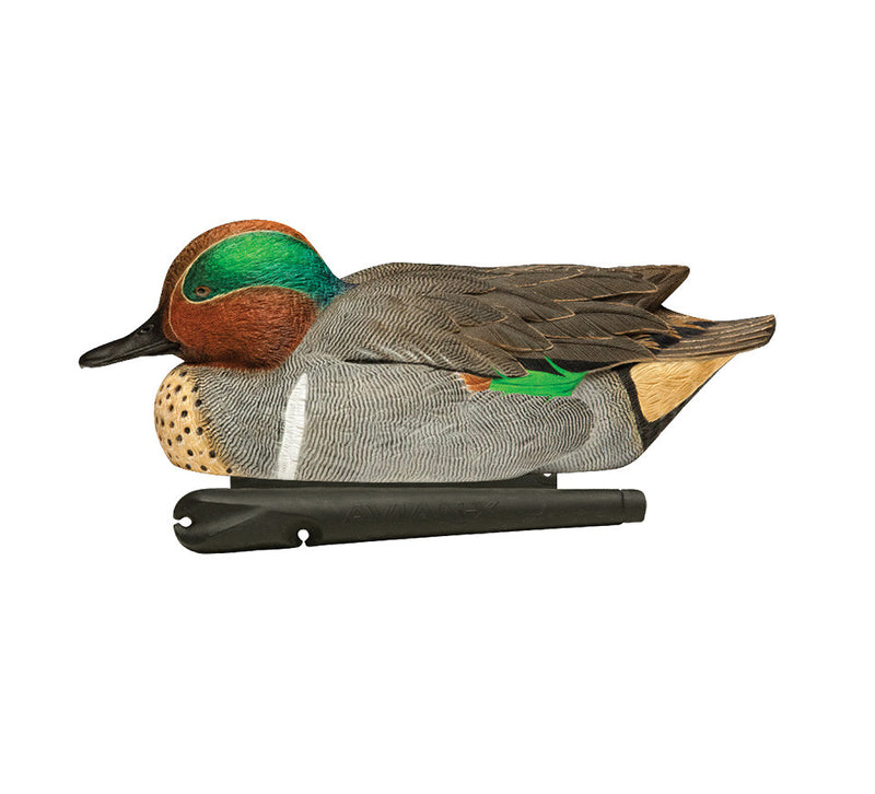 Avian-X - Topflight Green-Winged Teal 6 Floating Decoys
