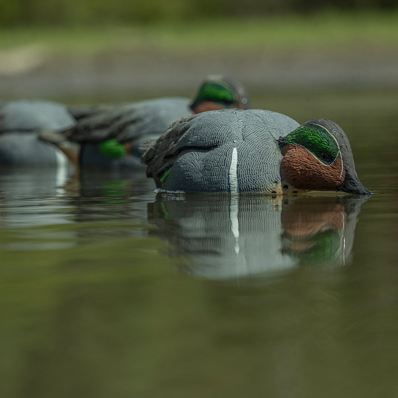 Avian-X - Topflight Green-Winged Teal 6 Floating Decoys