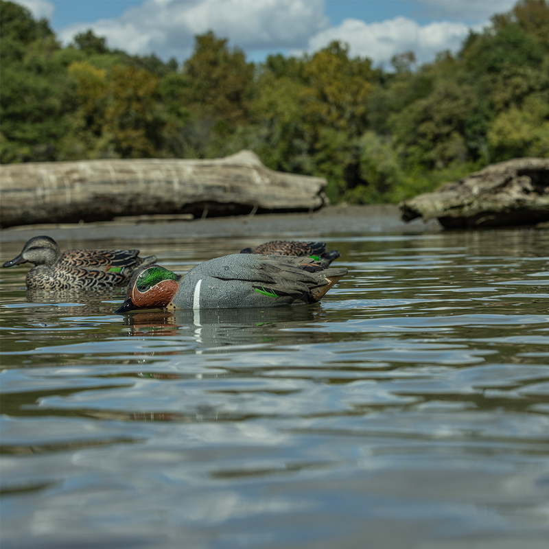 Avian-X - Topflight Green-Winged Teal 6 Floating Decoys
