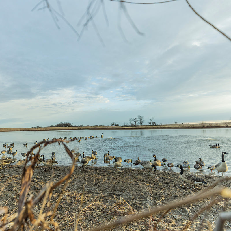 Avian-X - Topflight Honkers 4 Floating Decoys