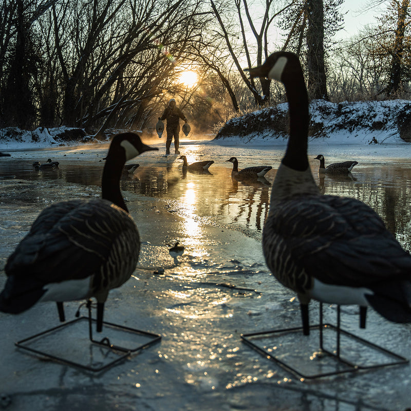 Avian-X - Topflight Honkers 4 Floating Decoys