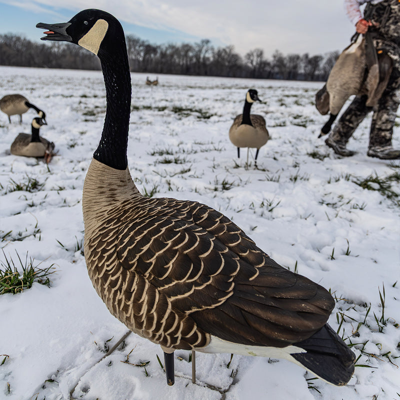 Avian-X - Topflight Honkers 4 Floating Decoys