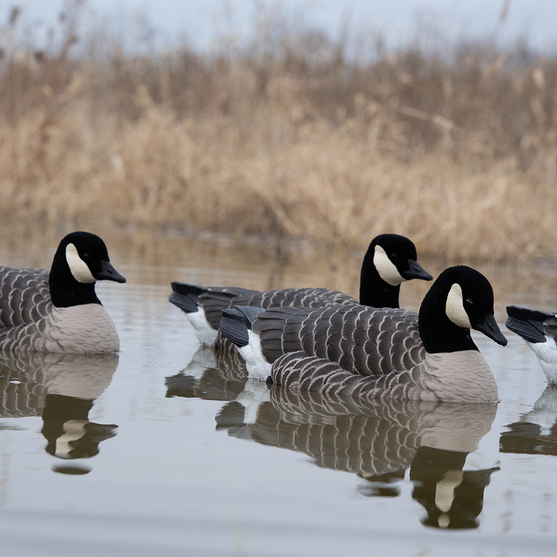Avian-X - Topflight Lessers 4 Floating Decoys