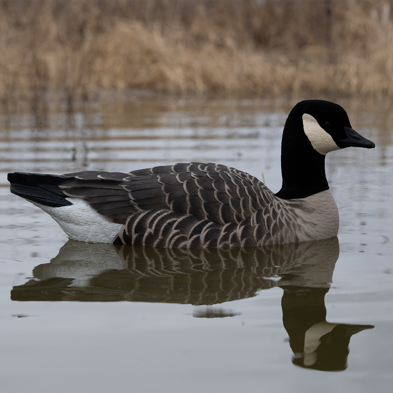 Avian-X - Topflight Lessers 4 Floating Decoys