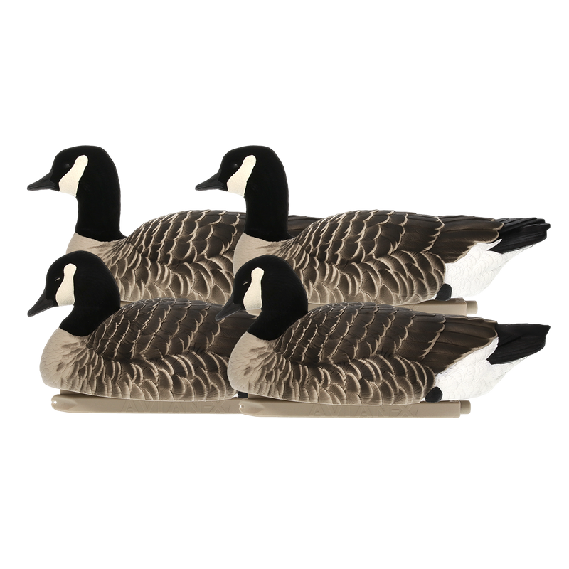 Avian-X - Topflight Lessers 4 Floating Decoys
