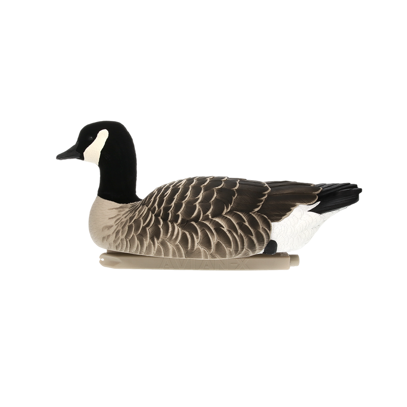 Avian-X - Topflight Lessers 4 Floating Decoys