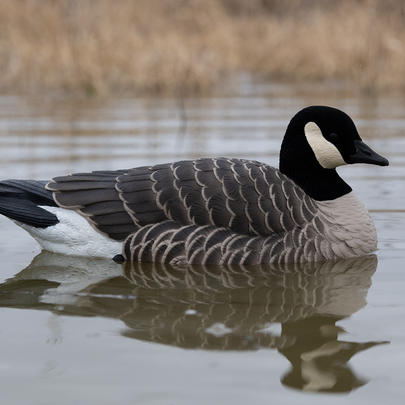 Avian-X - Topflight Lessers 4 Floating Decoys