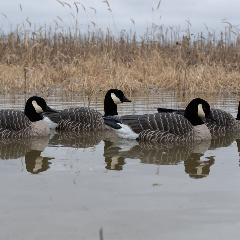 Avian-X - Topflight Lessers 4 Floating Decoys